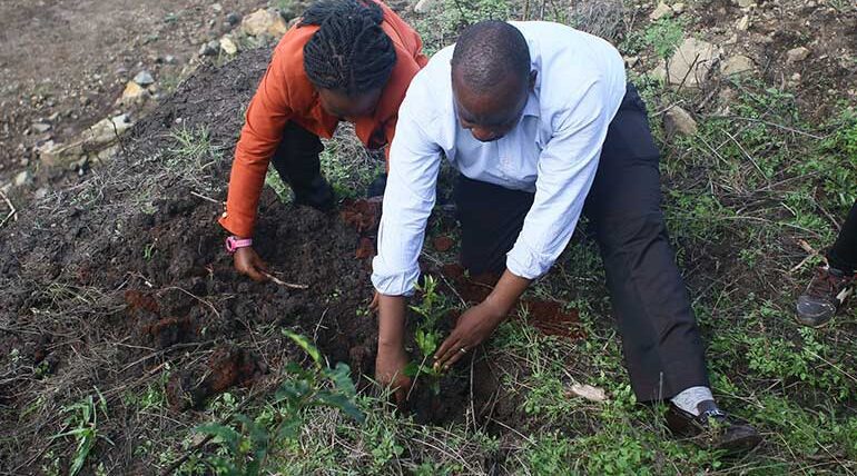 national tree planting day kenya 2023