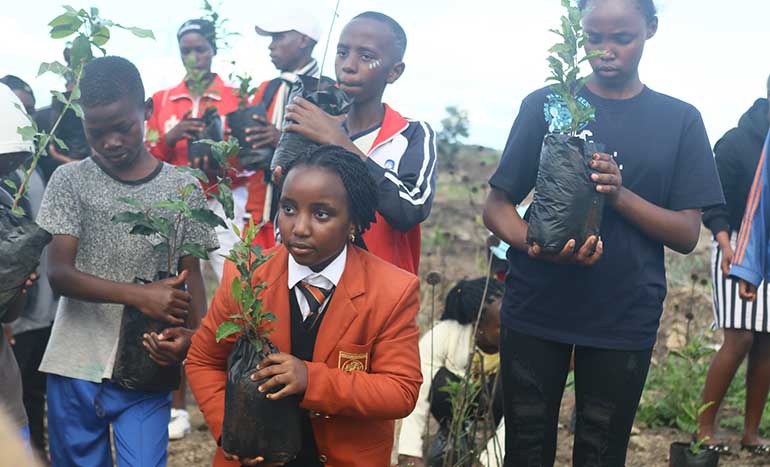 environmental-conservation-10-million-trees.jpg