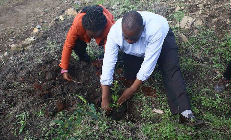 national tree planting day kenya 2023