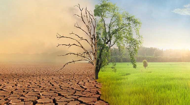 Environmental conservation