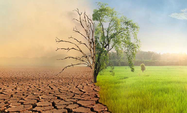 Environmental conservation