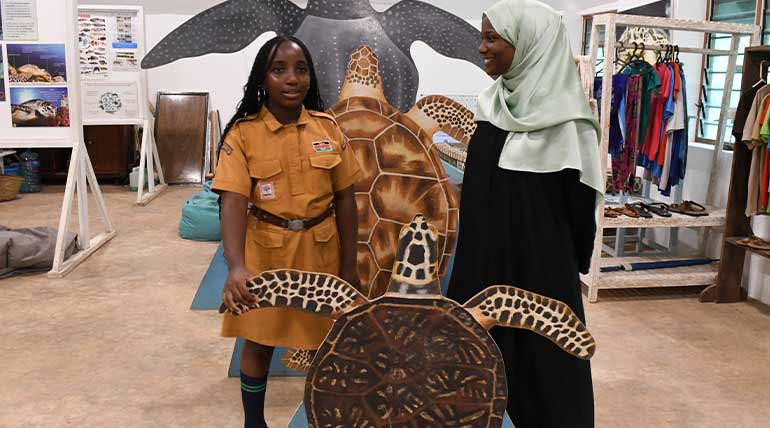 Protecting-Sea-Turtle Protecting Sea Turtle