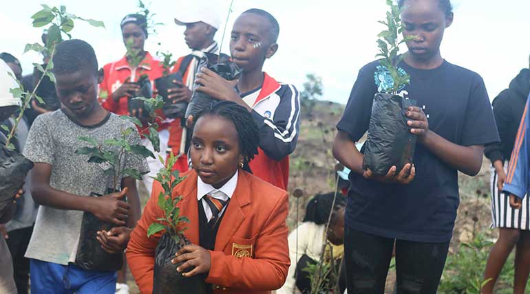 Tree-Nursery-Establishment-and-Management Tree Nursery Establishment and Management